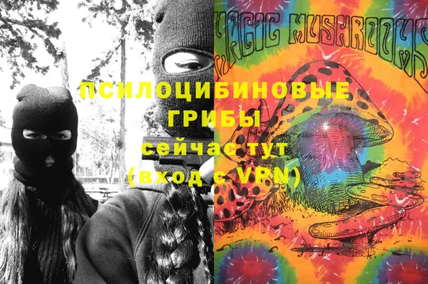 МДМА Новозыбков