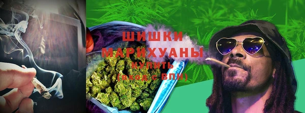 МДМА Новозыбков