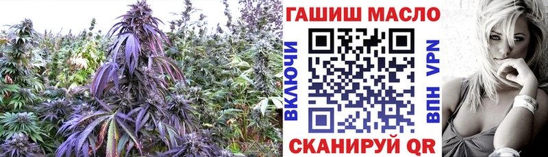 Дистиллят ТГК концентрат Приволжск