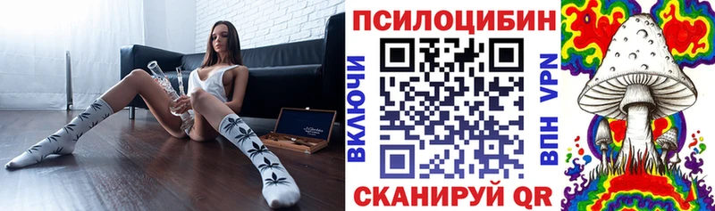 Галлюциногенные грибы Magic Shrooms  цены наркотик  Приволжск 